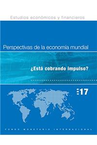 World Economic Outlook, April 2017 (Spanish Edition)