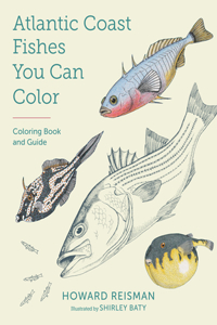 Atlantic Coast Fishes You Can Color!