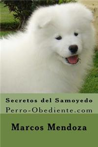 Secretos del Samoyedo