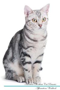 American Shorthair Cat Affirmations Workbook American Shorthair Cat Presents