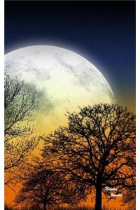 Celestial Journal