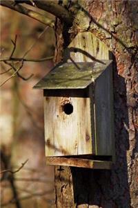 Nest Box on a Tree Journal
