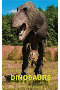 Dinosaurs Pocket Monthly Planner 2017