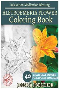 Alstroemeria Flower Coloring Book for Adults Relaxation Meditation Blessing