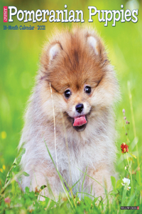 Just Pomeranian Puppies 2021 Wall Calendar (Dog Breed Calendar)