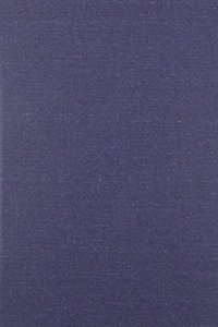 The Amber Witch by Wilhelm Meinhold, Fiction, Literary, Fantasy, Fairy Tales, Folk Tales, Legends & Mythology