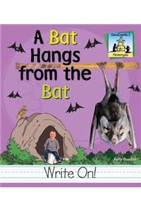 Bat Hangs from the Bat