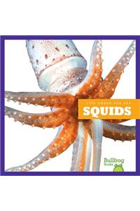 Squids