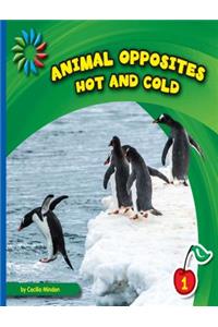 Hot and Cold