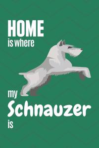 Home is where my Schnauzer is