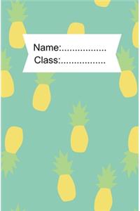 Name/class