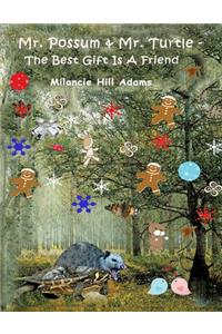 Mr. Possum & Mr. Turtle - The Best Gift Is A Friend