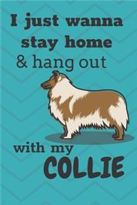 I Just Wanna Stay Home And Hang Out With My Collie Dog