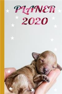 Planer 2020