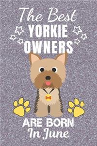 The Best Yorkie Owners Are Born In June