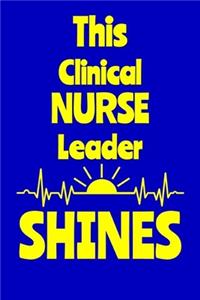 This Clinical Nurse Leader Shines