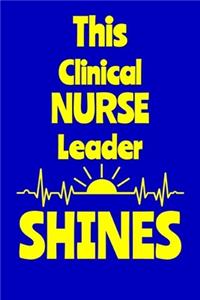 This Clinical Nurse Leader Shines