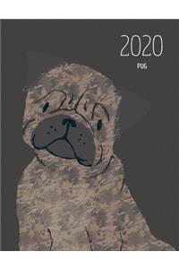2020 Pug