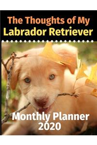 The Thoughts of My Labrador Retriever
