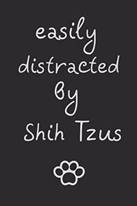 Easily distracted by Shih Tzus