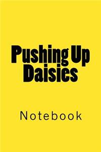 Pushing Up Daisies