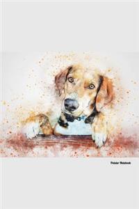 Pointer Notebook