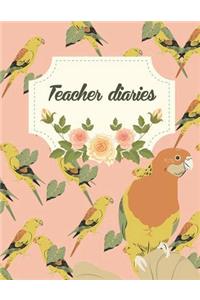 Teacher diaries