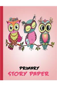 Primary Story Paper