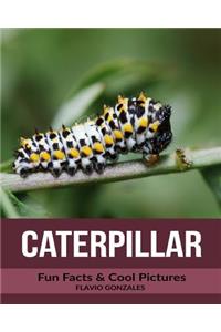Caterpillar: Fun Facts & Cool Pictures