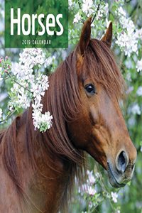 HORSES WIRO W 2019