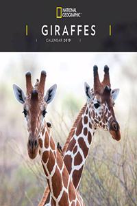 GIRAFFES NG W 2019