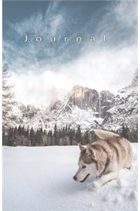 Journal