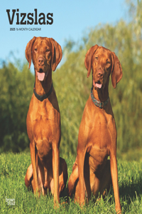 Vizslas 2025 Square Wrap