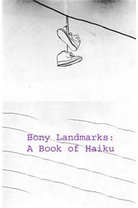 Bony Landmarks