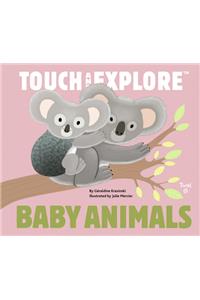 Touch and Explore: Baby Animals