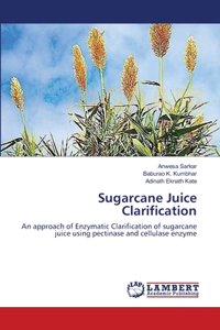 Sugarcane Juice Clarification