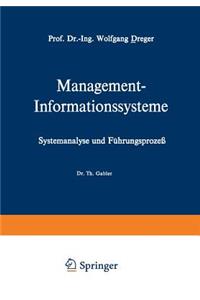 Management-Informationssysteme