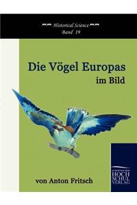 Vögel Europas im Bild