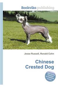 Chinese Crested Dog