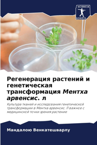 Регенерация растений и генетическая тран