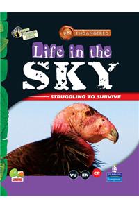 Life in the Sky: Key stage 2