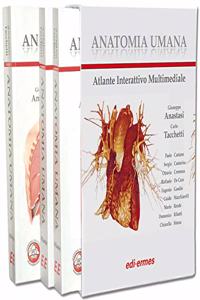 Anatomia Umana [Paperback] Giiseppe Anastasi