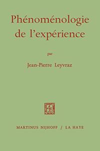 Phenomenologie de L'experience