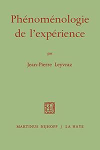 Phenomenologie de L'experience