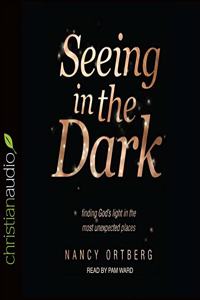 Seeing in the Dark