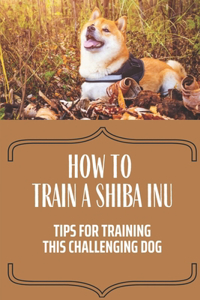 How To Train A Shiba Inu