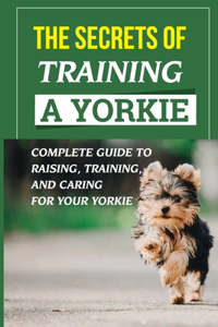 The Secrets Of Training A Yorkie