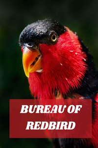 Bureau of Redbird
