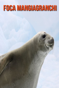 Foca mangiagranchi