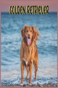 Golden Retriever Calendar 2022